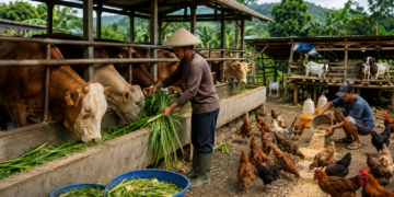 Pakar, SDM dan Teknologi Kunci Kemajuan Peternakan