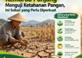 Kemarau Panjang Menguji Ketahanan Pangan, Ini Solusi yang Perlu Diperkuat